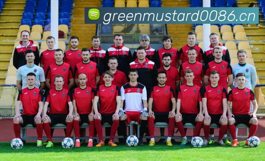 qy球友会中国官方网站发展历程