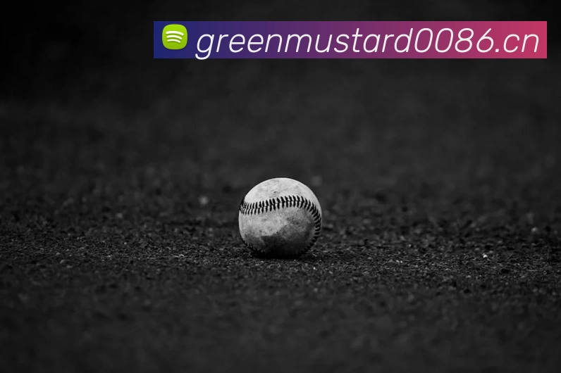 NBA总决赛全场回放高清视频资源已开放下载通道